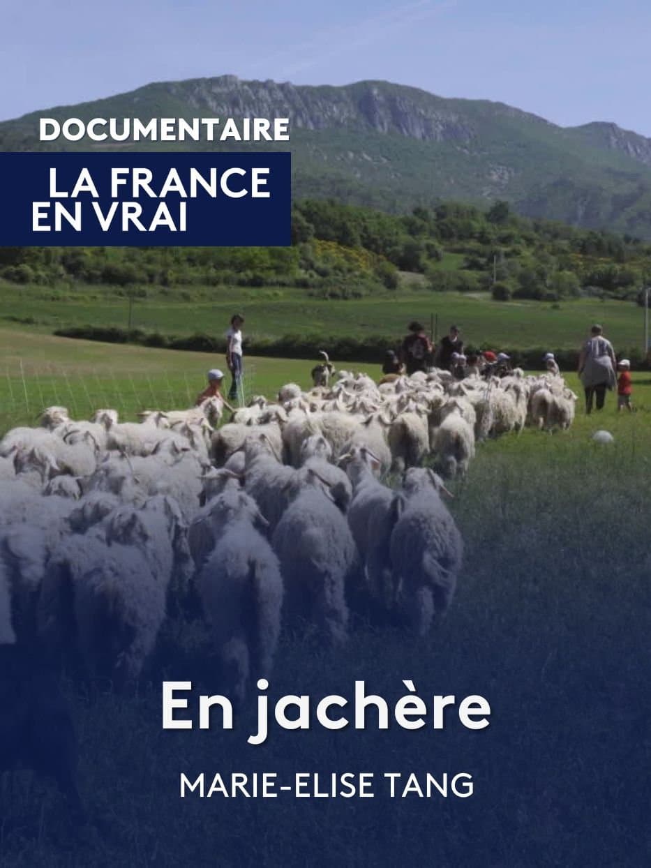 En jachère