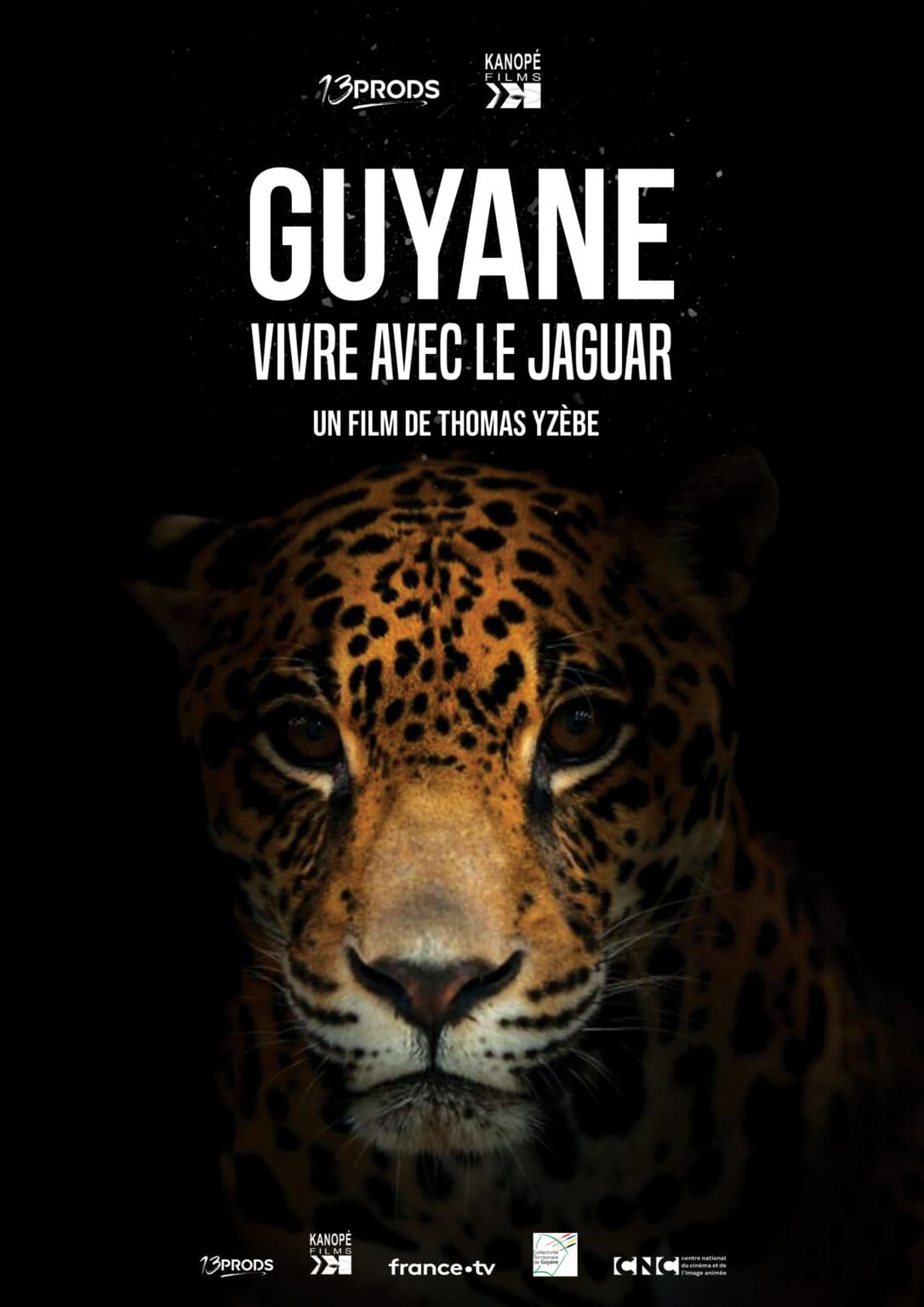 Guyane - Vivre avec le Jaguar