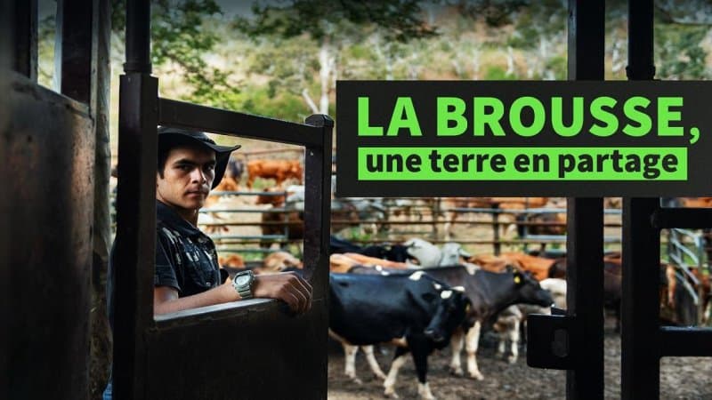 La brousse une terre en partage