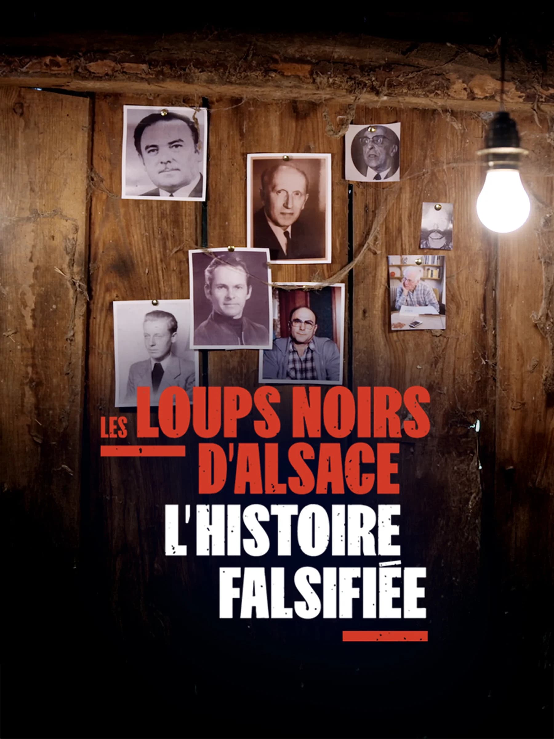 Les Loups Noirs d'Alsace