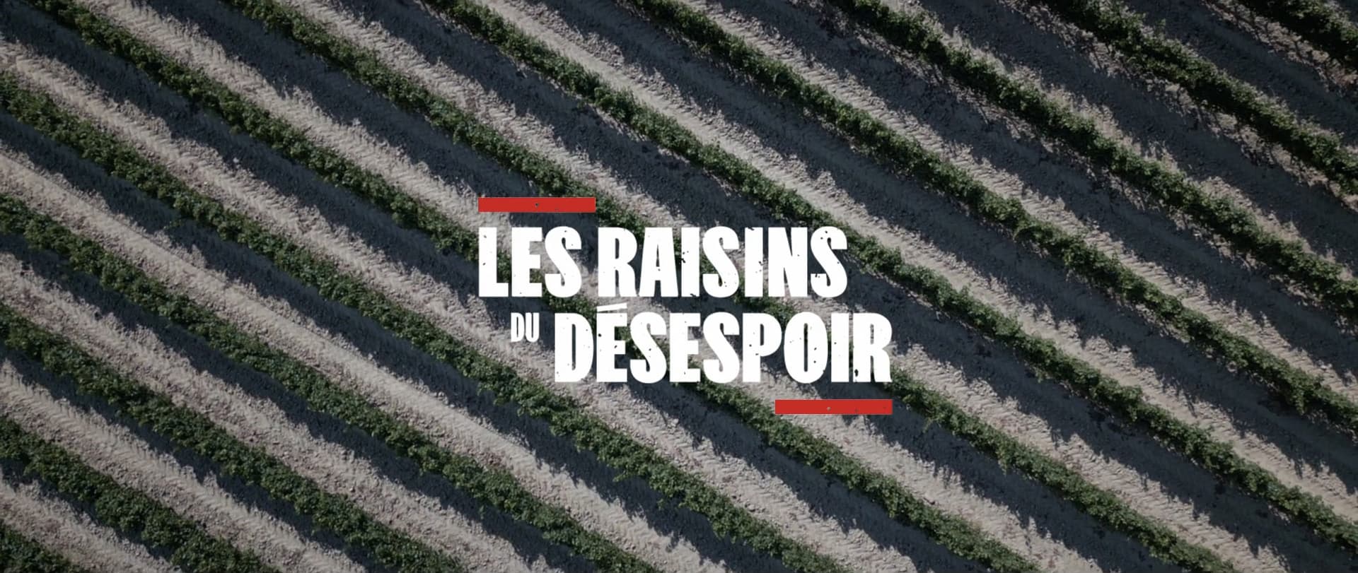 The Grapes of Despair