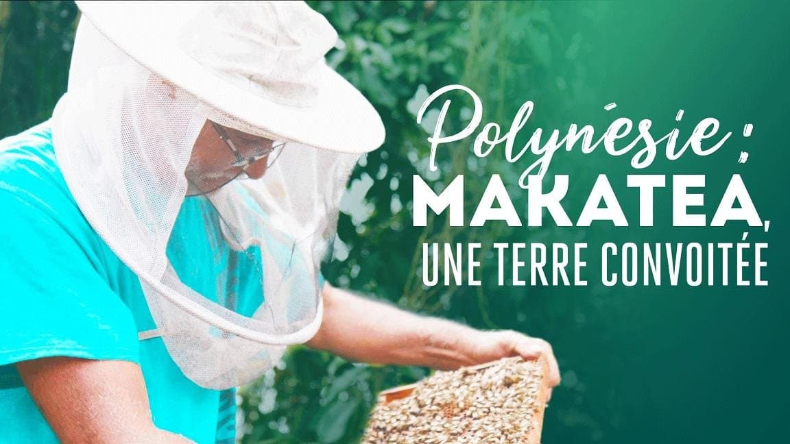 Makaeta, la terre convoitée