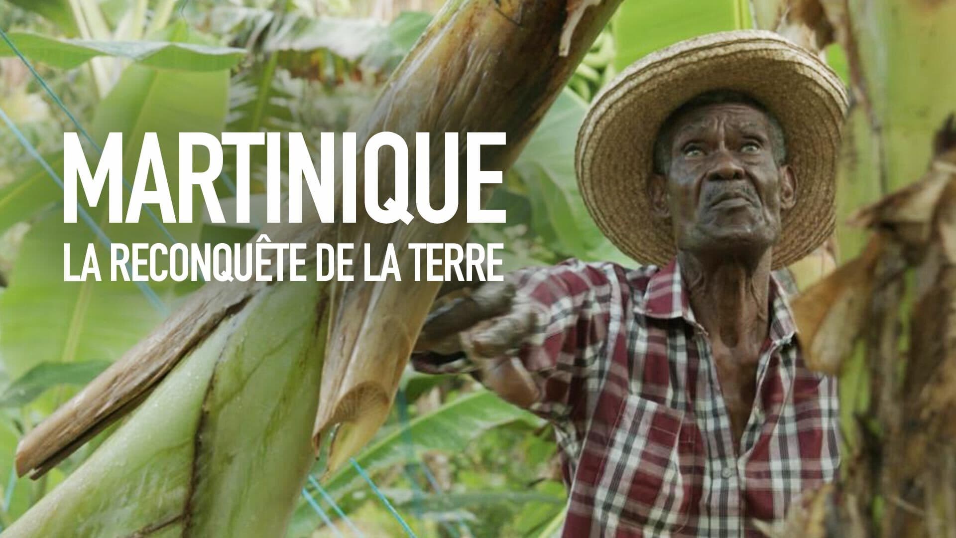Martinique, la reconquête de la terre