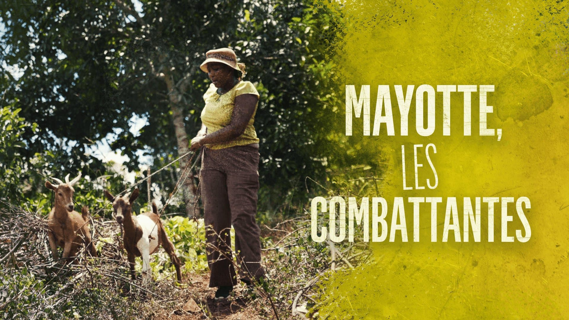 Mayotte, les combattantes