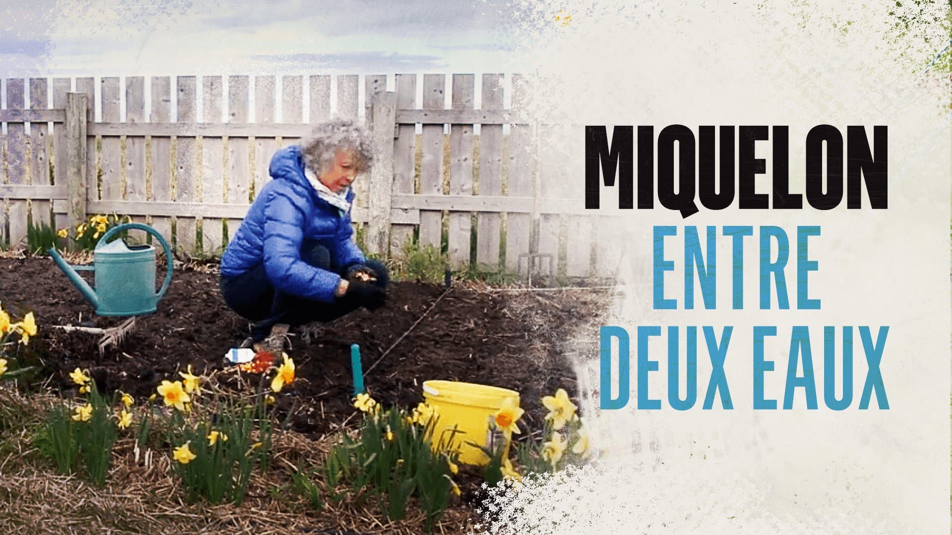 Miquelon entre deux eaux