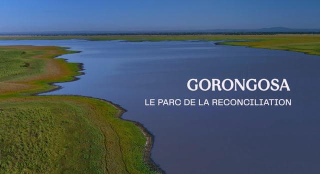 Gorongosa, le parc de la réconciliation